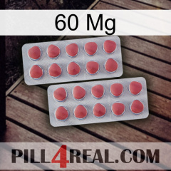 60 Mg 19